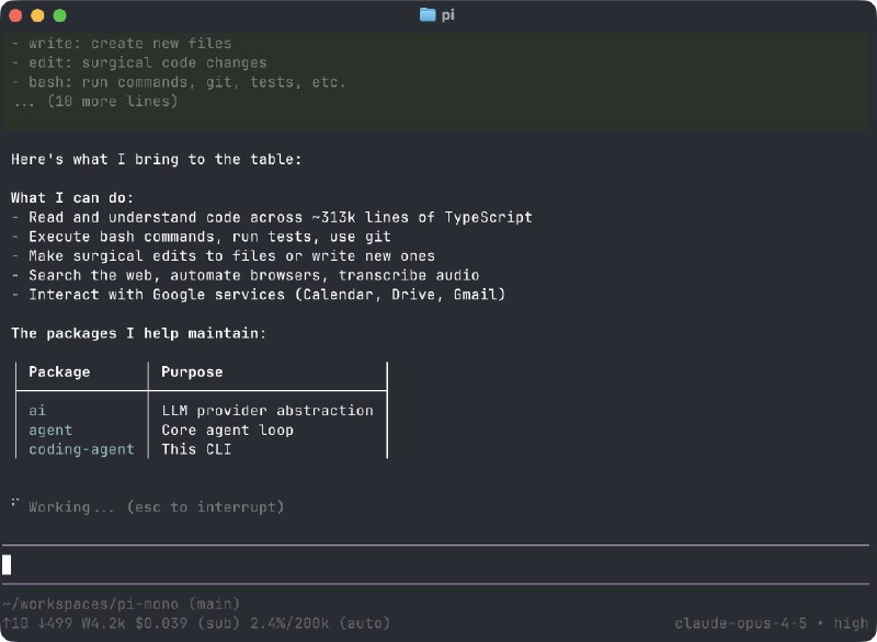 Pi Coding Agent