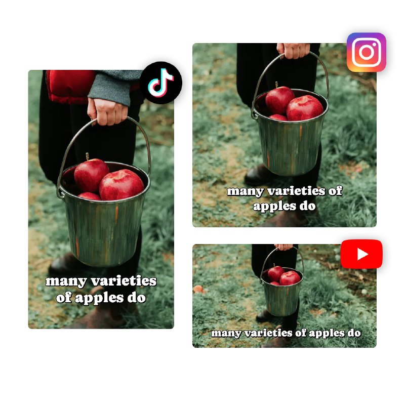 Wan2.5 | AI Video Generator – Cinematic, Consistent, 4K HDR