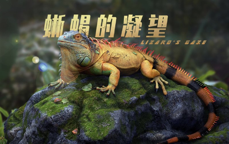 #CG #教程影视动物角色《蜥蜴的凝望》全流程教程将为你展示制作影视级作品的流程和方法