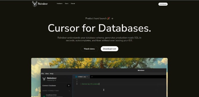 Reindeer - Cursor for Databases