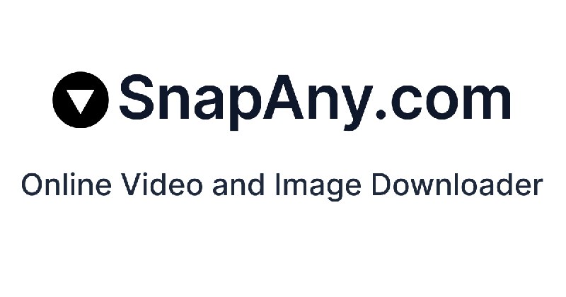 万能视频图片解析下载 - SnapAny